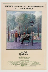  Маленький роман 